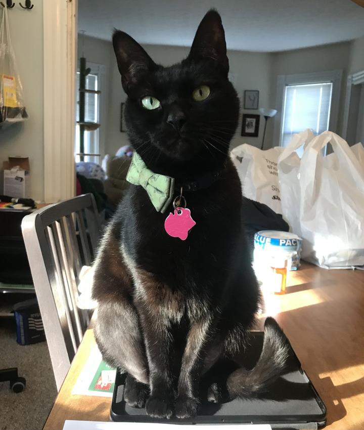 Portrait of Maddie